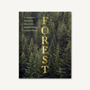 Forest by Matt Collins