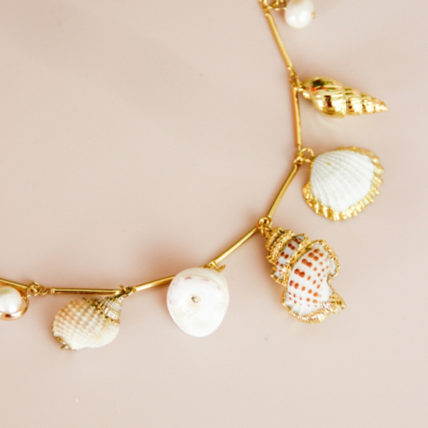 Assorted Seashell Necklace 2